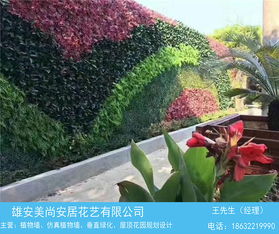 仿真植物墙 美尚园艺 安装 仿真植物墙价格多少