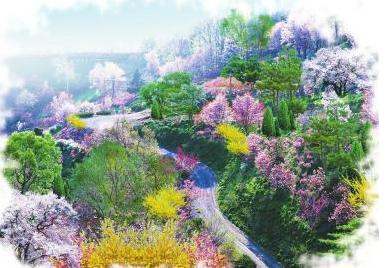 济南:绿化工程打造居民身边的生态公园