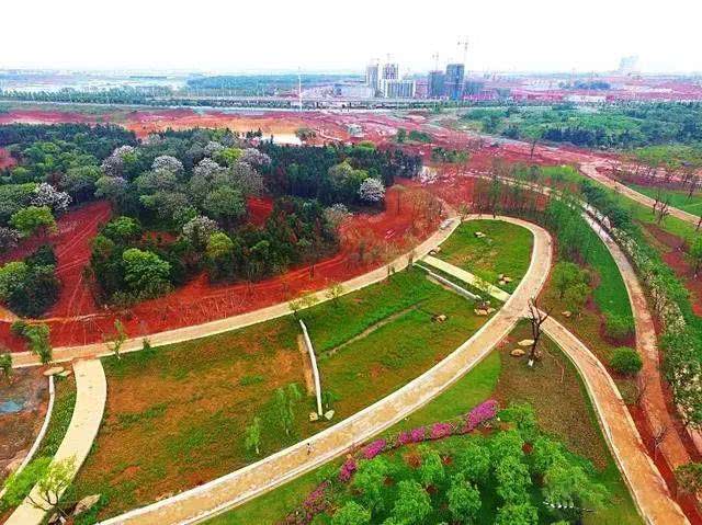 儒乐湖滨江公园美景初现,预计下半年即可开园迎客