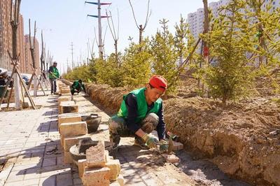 新城区:园林绿化养护工程提升城市颜值
