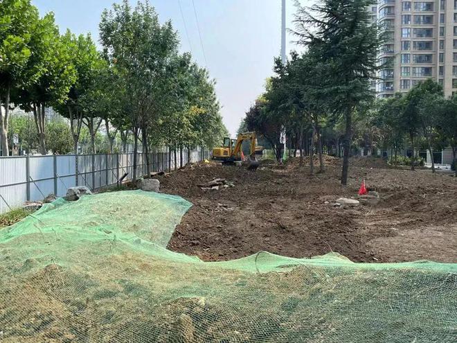 滕州:龙泉路道路绿化景观正在进行升级改造!